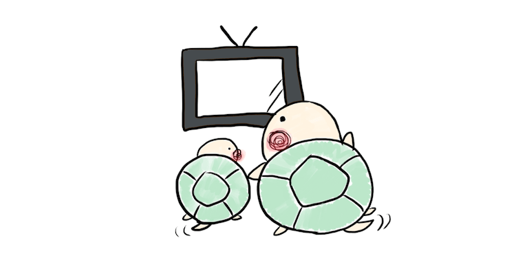 かめ かわいい