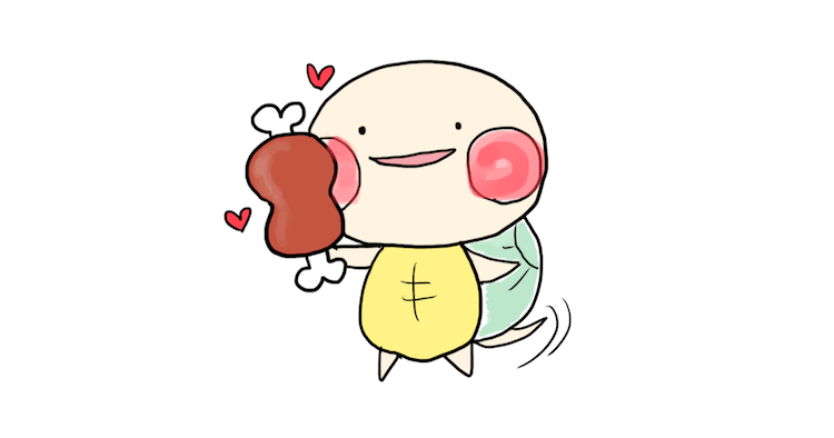 かめ かわいい