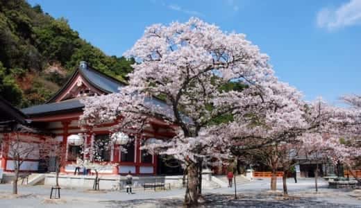 迷宮の十字路(クロスロード)はコナンファンに愛され続ける名作だ