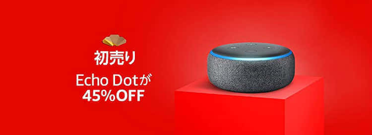 echo dot 初売り