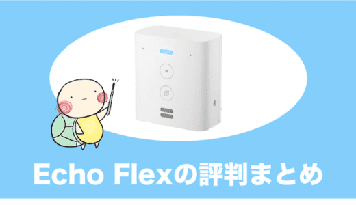 Echo Flexの使い方や評判、メリット・デメリットをやさしく解説