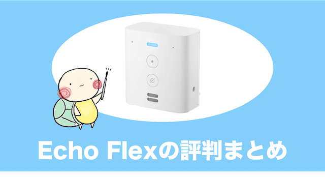 品質は非常に良い Echo Flex 用モーションセンサ