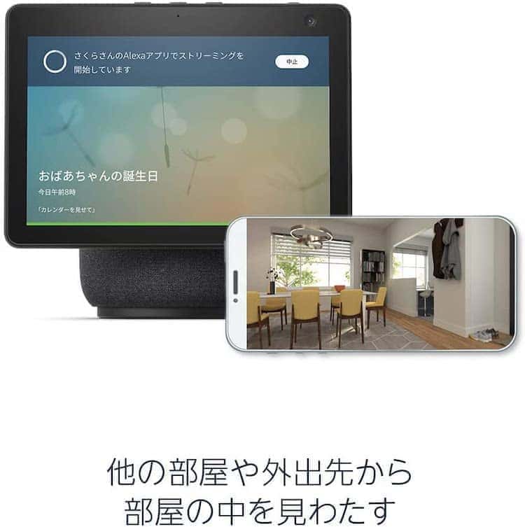 echo show10